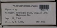 Image Associated With the Occurence